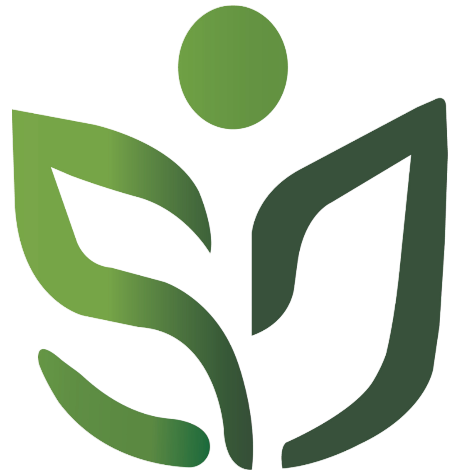 Testing Brainic Academy